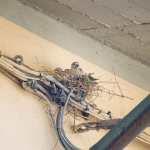 Avoid Electrical Hazards: Why Electrical Inspections Are Crucial